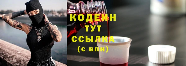 МДПВ Лагань