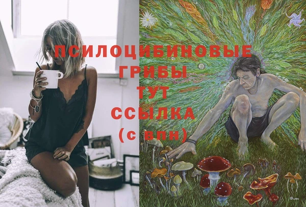 дмт Лихославль