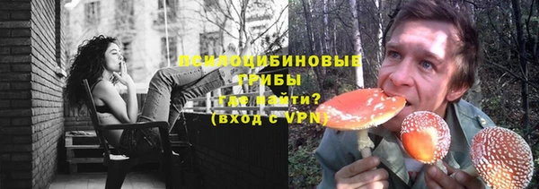 а пвп мука Лиски