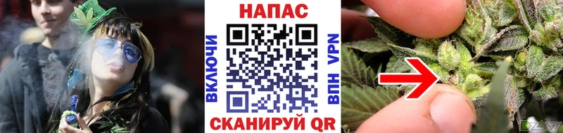 Шишки марихуана OG Kush  Ильский 